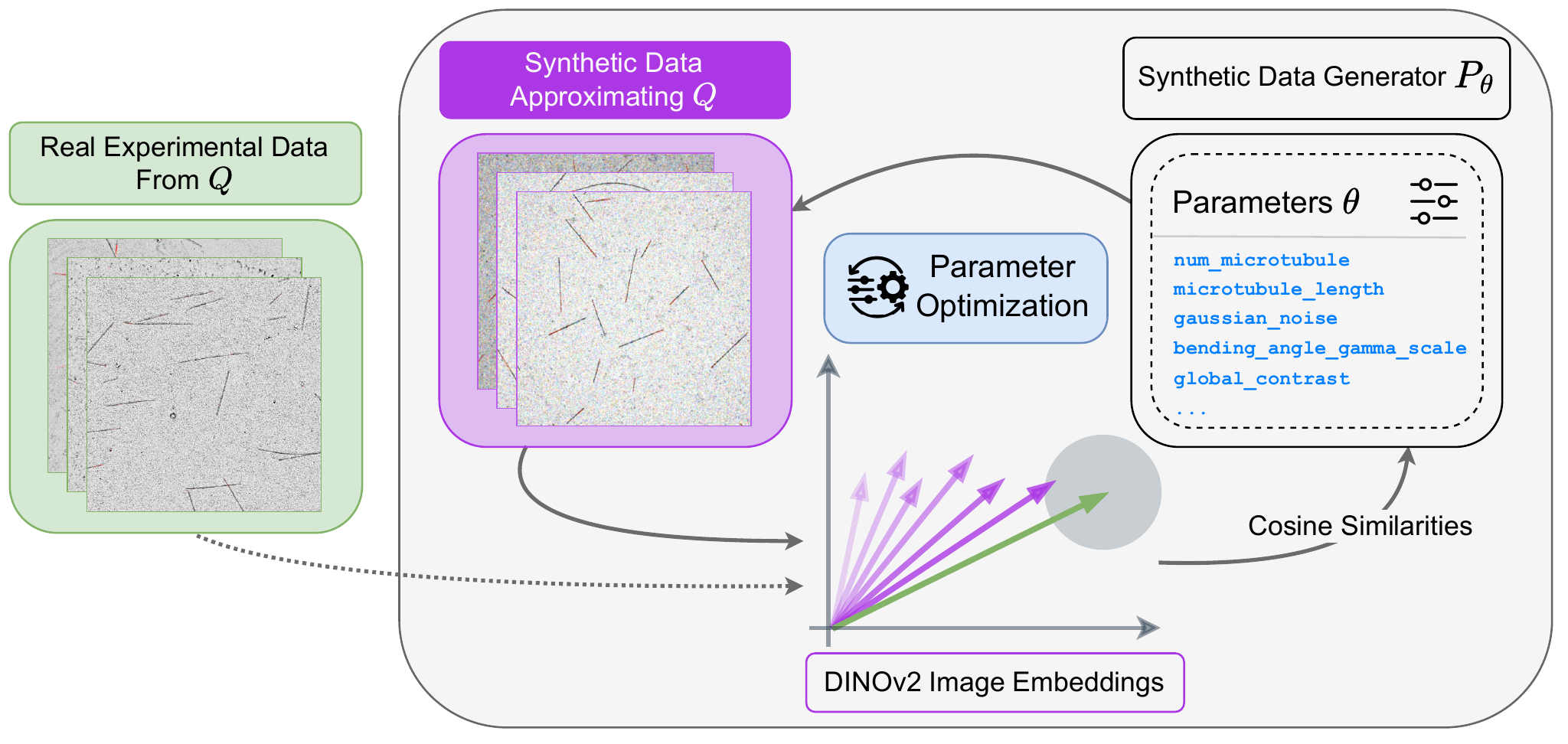 Diagram: real microscopy images and synthetic images from a parametric generator are embedded with DINOv2; a parameter optimization maximizes the cosine similarity between the embeddings