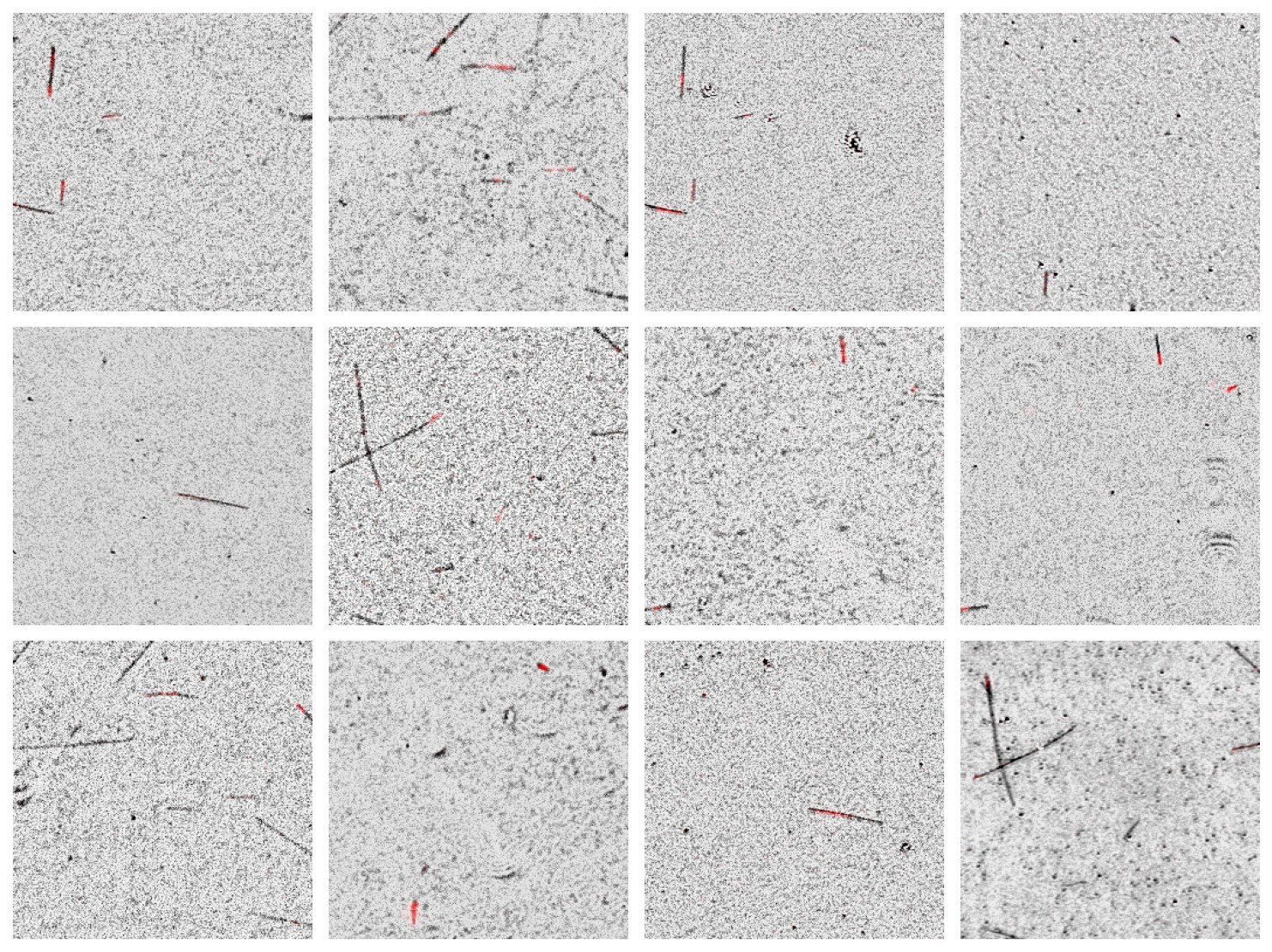 Twelve IRM microtubule images, some recorded in the lab and some generated by DiffuMT